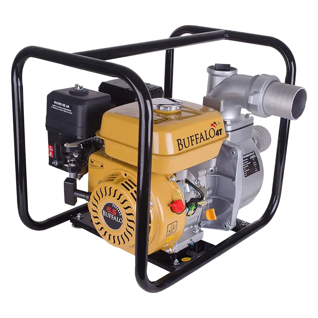 Imagem de Motobomba Buffalo BFG3S